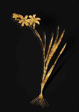 Gold Floral on Black