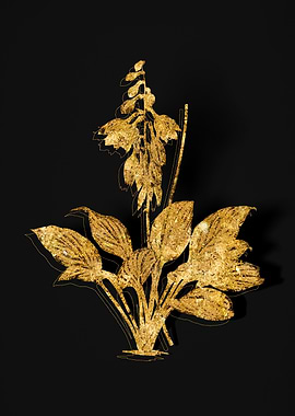 Gold Botanical on Black