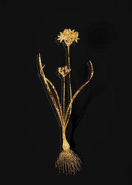 Gold Botanical on Black