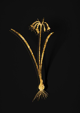 Gold Flower on Black