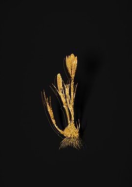 Gold Flower on Black