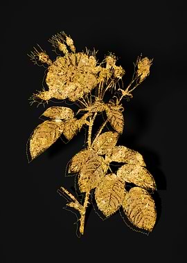 Gold Flower on Black