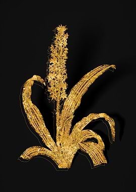 Gold Floral on Black