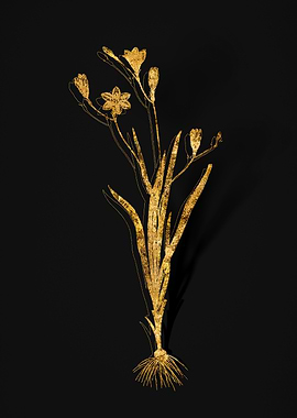 Gold Flower on Black