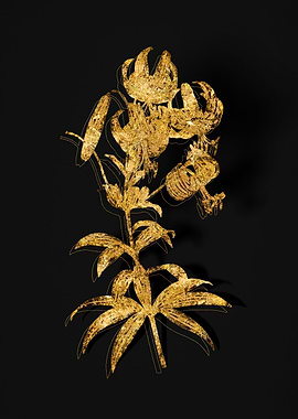 Gold Botanical on Black