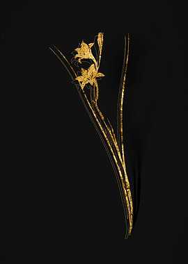 Gold Flower on Black
