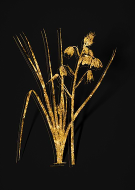 Gold Flower on Black