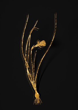 Gold Botanical on Black