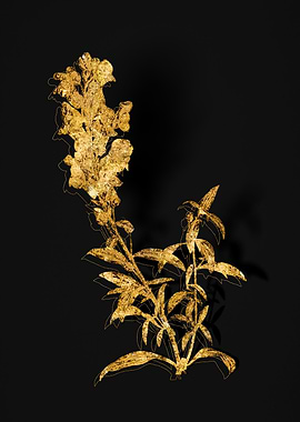 Gold Flora on Black