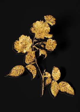 Gold Flora on Black