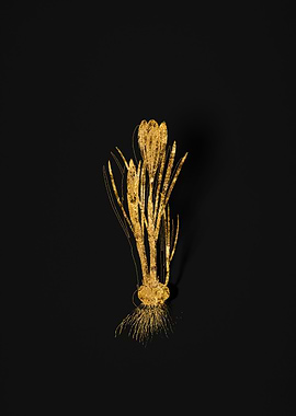 Gold Flower on Black