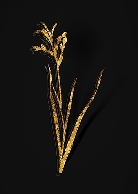 Gold Floral on Black