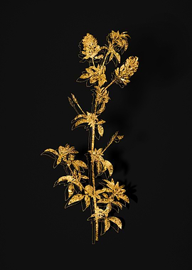 Gold Flower on Black