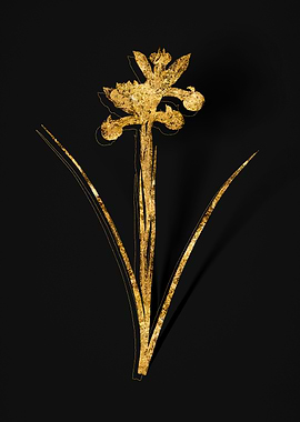 Gold Flower on Black