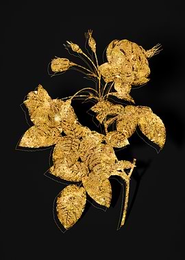Gold Botanical on Black