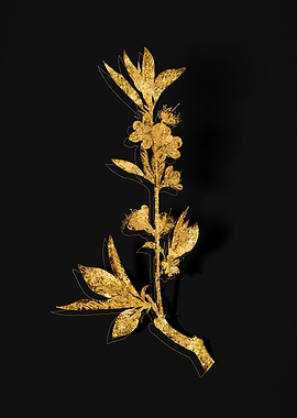 Gold Flora on Black