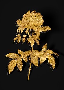 Gold Flower on Black