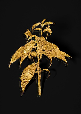 Gold Botanical on Black