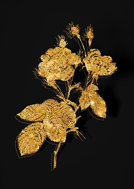 Gold Flora on Black