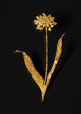 Gold Flower on Black