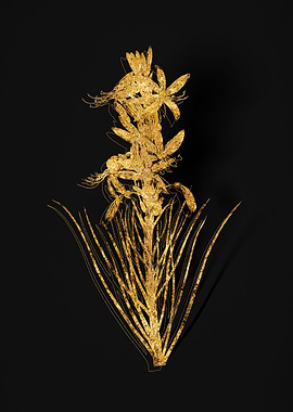 Gold Flower on Black