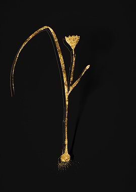 Gold Botanical on Black