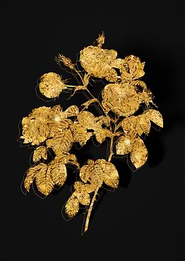 Gold Botanical on Black