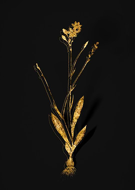 Gold Floral on Black