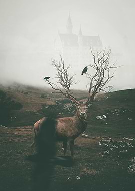 Fantasy deer with ravens