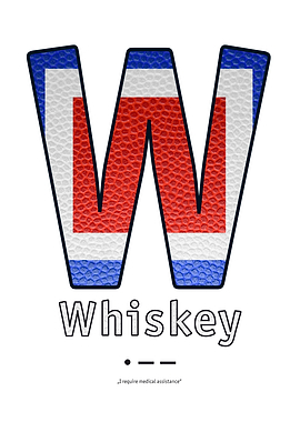Whiskey Navy Code