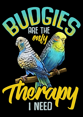 Budgerigar