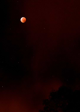 Blood Moon