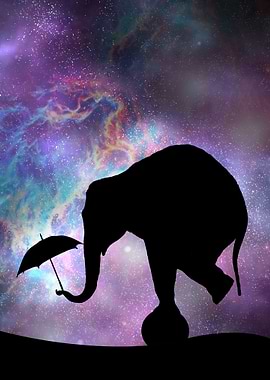 circus elephant