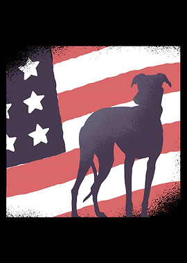 Dog with US Flag
