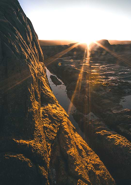 Cape Columbine South Afric