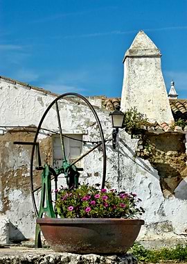 Idyllic Algarvare House