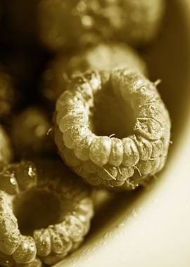 Giant Raspberries Fruits