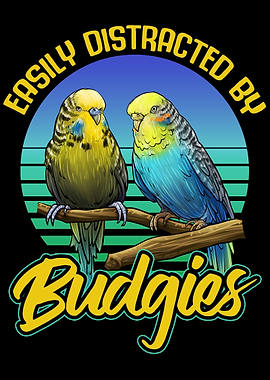 Budgies