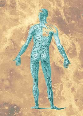 Anatomy Design System