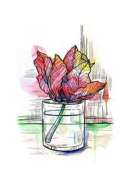 Lonely tulip in a glass