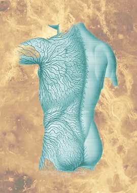 Anatomy Design System 2