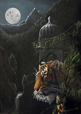 Tiger and magic India
