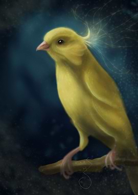 Taro Explore your Magic