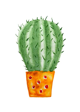 Cute cactus