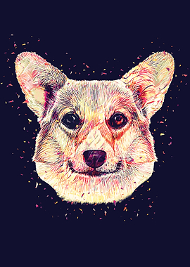 Corgi