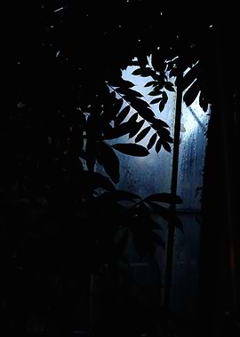 Abstract Greenhouse Plants