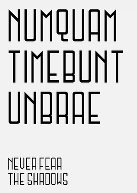 Never Fear The Shadows