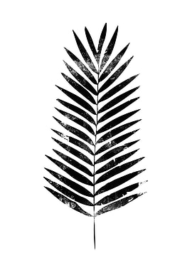 Palm tree leaf