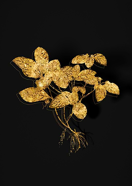 Gold Flora on Black