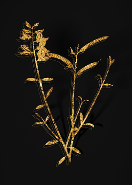 Gold Floral on Black